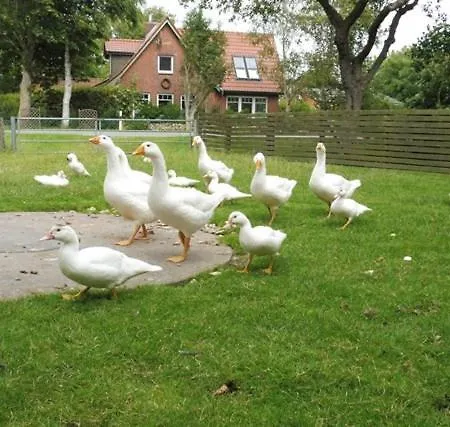 Martens Apartament Schuelperweide