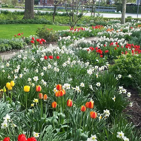 Appartement Martens *