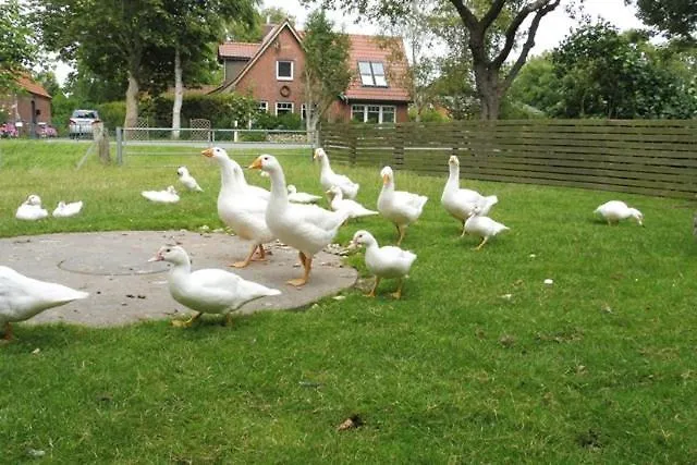 Martens Appartement Schuelperweide